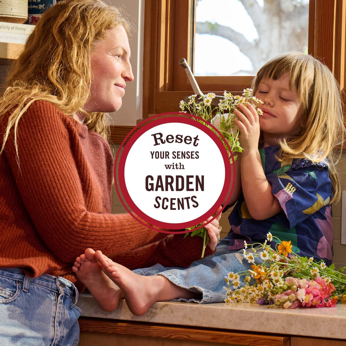 Mrs. Meyer's Iowa Pine Room Freshener
